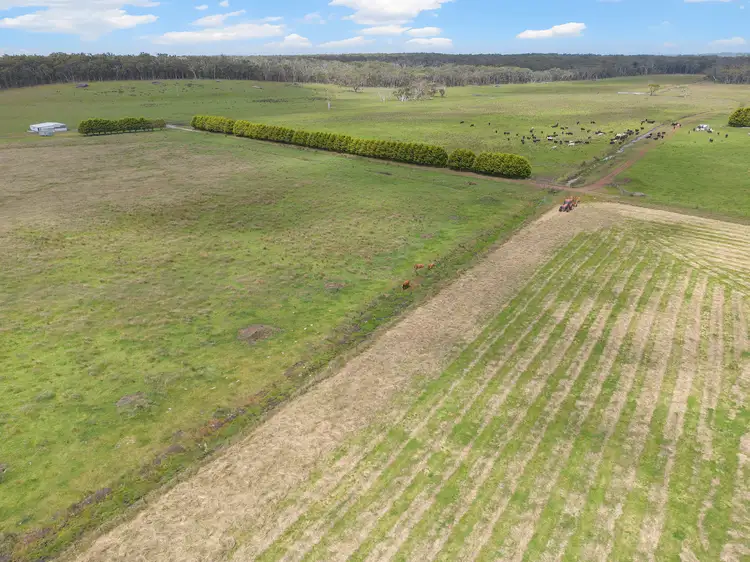 Seventh view of Homely rural property listing, 931 Gorae Road, Gorae VIC 3305