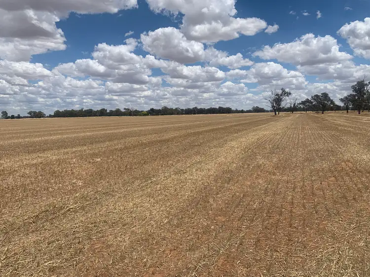 Main view of Homely rural property listing, Lowe Road, Rochester VIC 3561