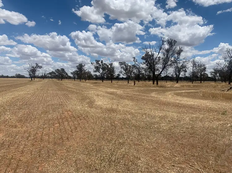 Second view of Homely rural property listing, Lowe Road, Rochester VIC 3561
