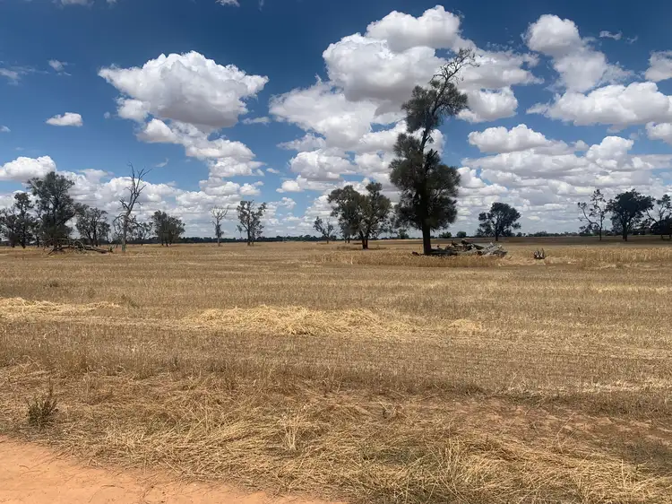 Fourth view of Homely rural property listing, Lowe Road, Rochester VIC 3561
