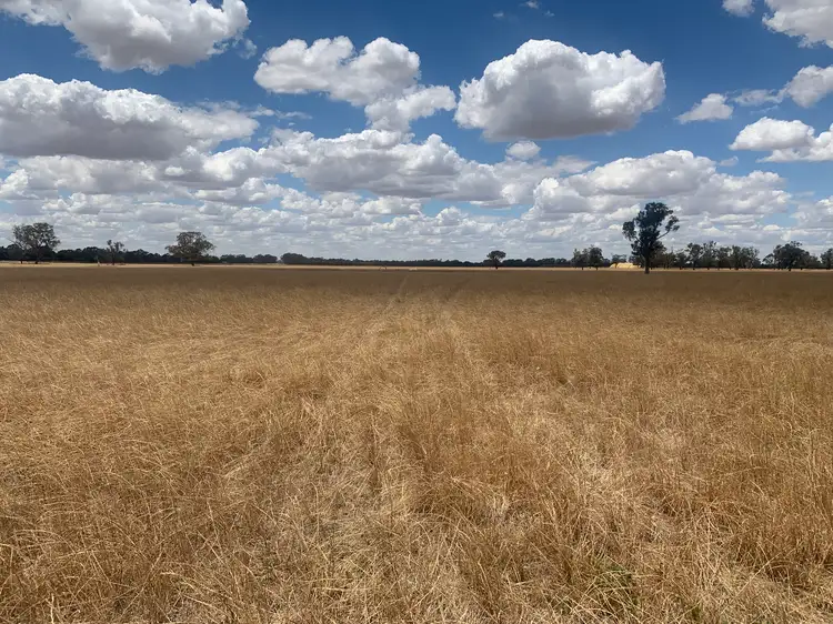 Fifth view of Homely rural property listing, Lowe Road, Rochester VIC 3561