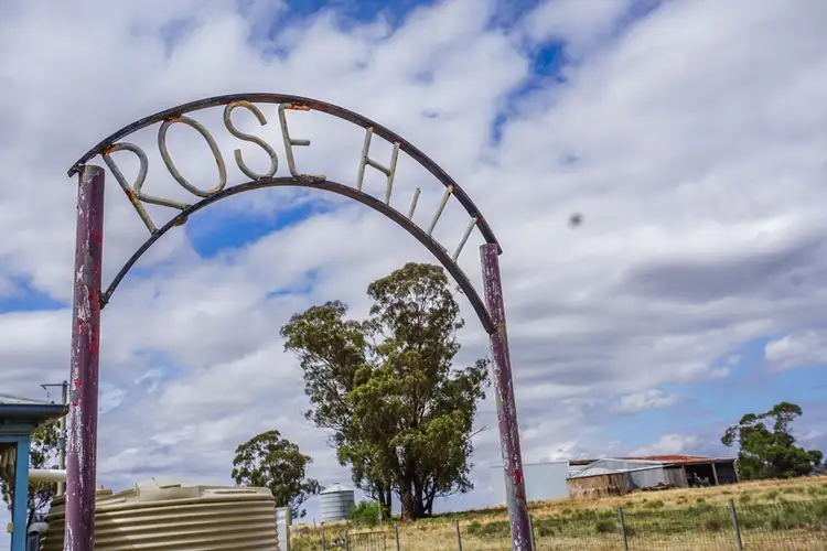 'Rosehill' 54 Rennies Lane, West Wyalong NSW 2671
