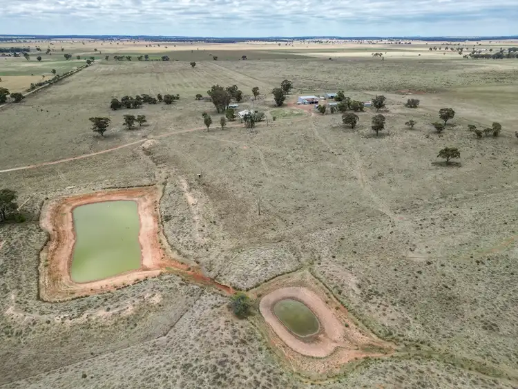 Third view of Homely rural property listing, 'Rosehill' 54 Rennies Lane, West Wyalong NSW 2671