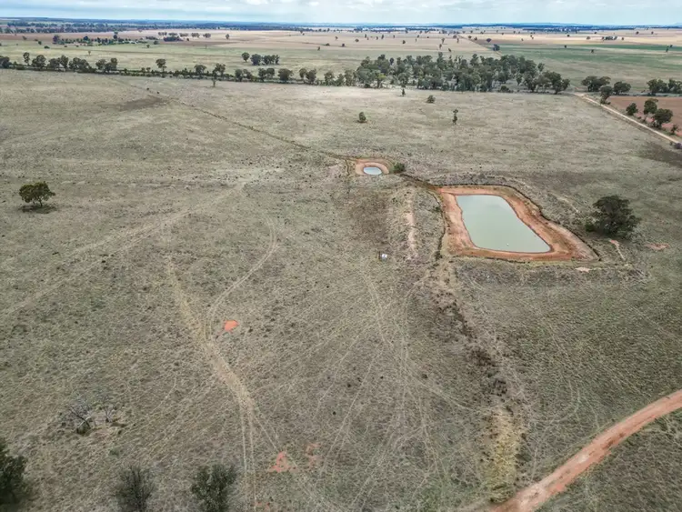 Fourth view of Homely rural property listing, 'Rosehill' 54 Rennies Lane, West Wyalong NSW 2671
