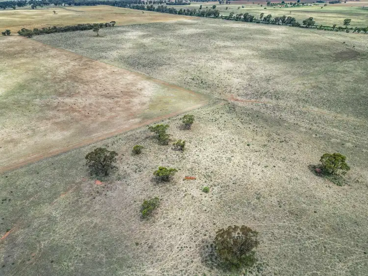 Sixth view of Homely rural property listing, 'Rosehill' 54 Rennies Lane, West Wyalong NSW 2671