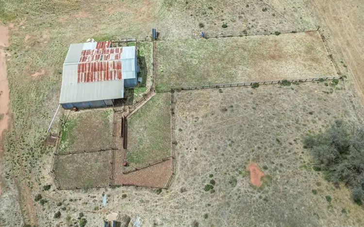 Seventh view of Homely rural property listing, 'Rosehill' 54 Rennies Lane, West Wyalong NSW 2671
