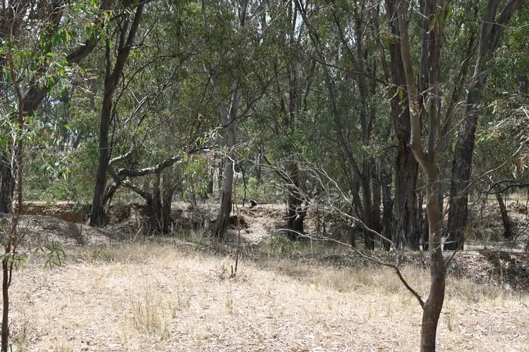 Fourth view of Homely rural property listing, LOT 2, 329 QUIRIPEL LANE, Mcintyre VIC 3472