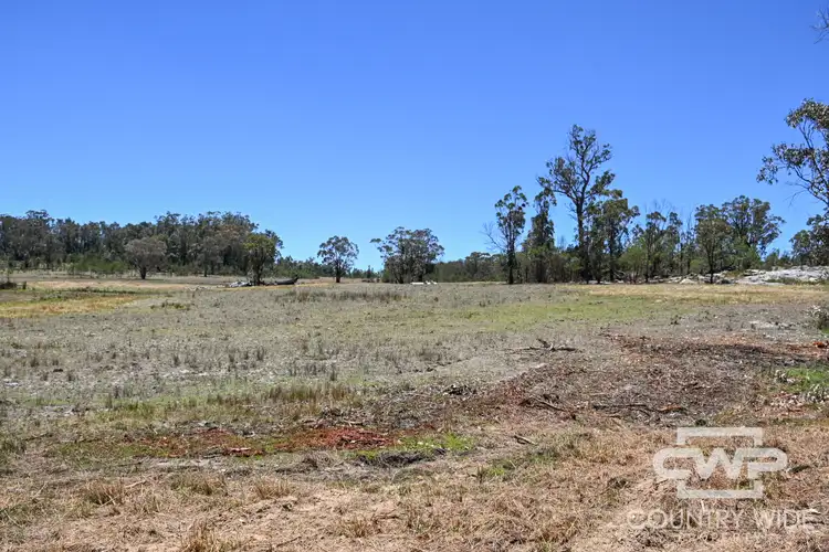 Third view of Homely rural property listing, LOT 90, 470 Silent Grove Road, Torrington NSW 2371