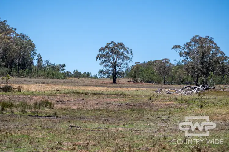 Fifth view of Homely rural property listing, LOT 90, 470 Silent Grove Road, Torrington NSW 2371