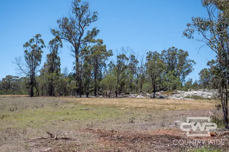 Seventh view of Homely rural property listing, LOT 90, 470 Silent Grove Road, Torrington NSW 2371