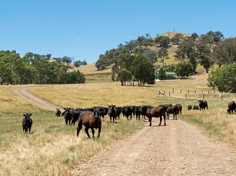 929 Monkey Gully Road, Goughs Bay VIC 3723