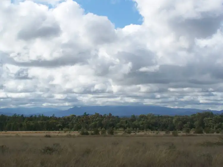 Fourth view of Homely rural property listing, 602 Jacks Creek Road, Narrabri NSW 2390