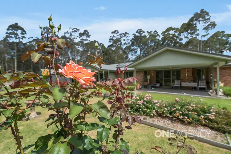 Main view of Homely house listing, 46 Eucalypt Lane, Tomerong NSW 2540