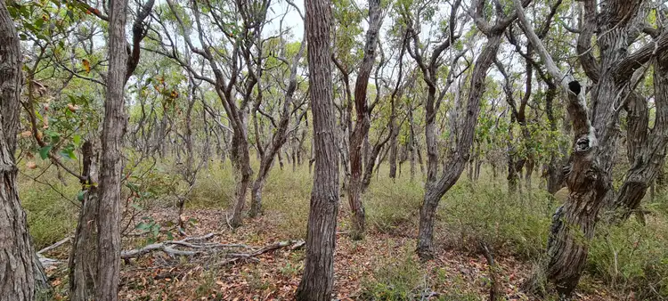 Third view of Homely land listing, 10 Northey Retreat, Mount Barker WA 6324