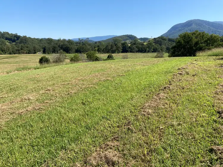 Seventh view of Homely land listing, 11 Stewarts Way, Nimbin NSW 2480