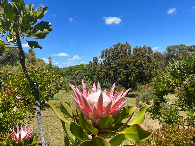 Third view of Homely rural property listing, 55 Harris Road, Lenswood SA 5240
