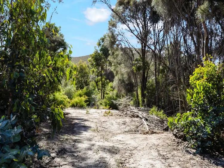 Fourth view of Homely land listing, LOT 2, 1018 Palana Road, Blue Rocks TAS 7255