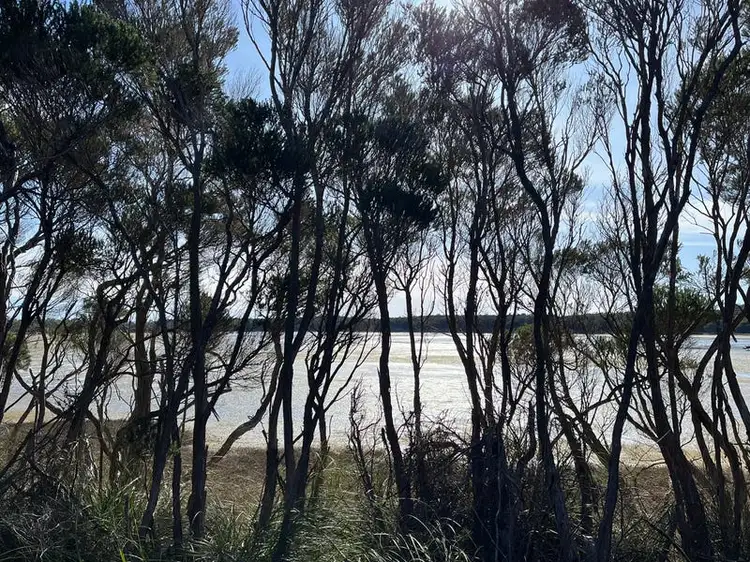 Fifth view of Homely land listing, LOT 3 North East River Road, Palana TAS 7255