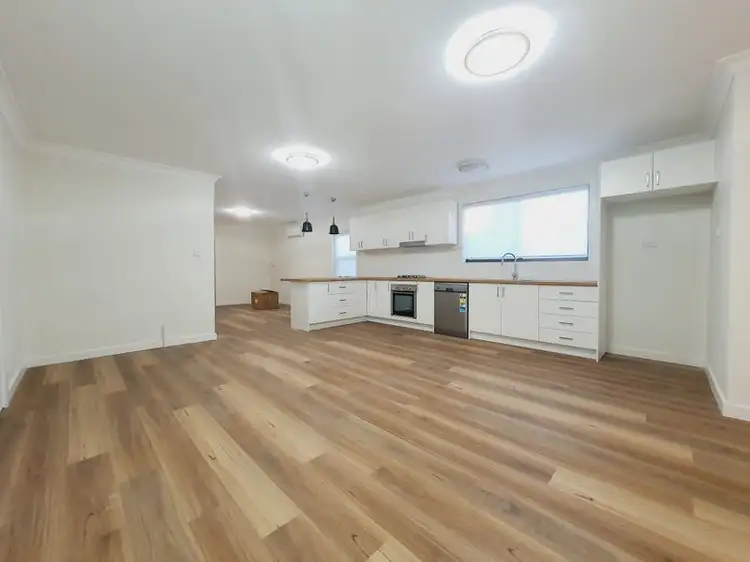 81 Mimosa Street, Bexley NSW 2207