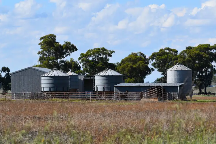 Third view of Homely rural property listing, "Billabong Park", 1183 Brolgan Road, Parkes NSW 2870