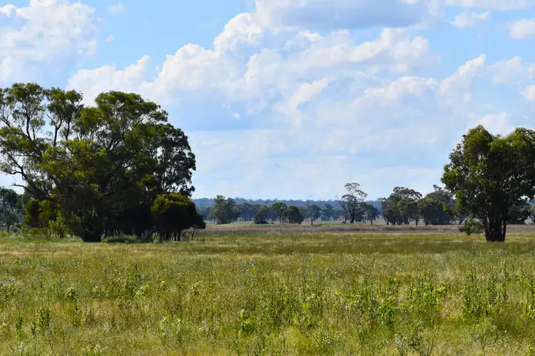 Fourth view of Homely rural property listing, "Billabong Park", 1183 Brolgan Road, Parkes NSW 2870