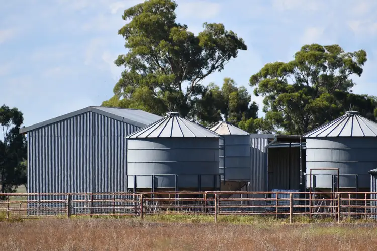 Fifth view of Homely rural property listing, "Billabong Park", 1183 Brolgan Road, Parkes NSW 2870