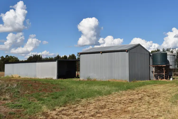 Sixth view of Homely rural property listing, "Billabong Park", 1183 Brolgan Road, Parkes NSW 2870