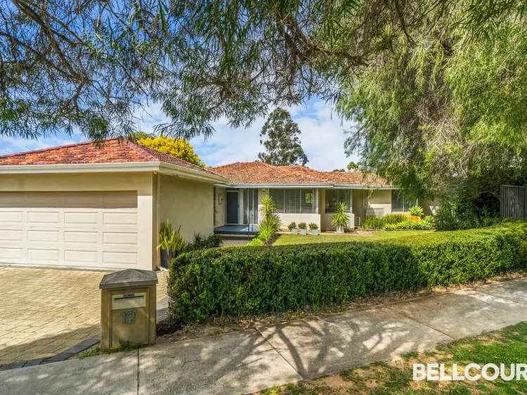 12 Pinaster Street, Menora WA 6050