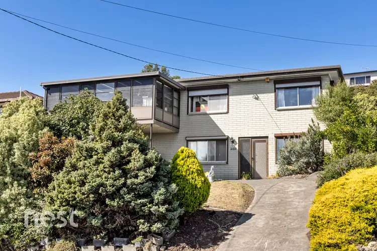 260 Carella Street