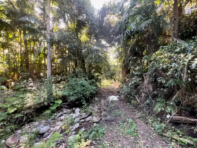 Fifth view of Homely land listing, Lot 503 Cedarvale Road,, Sandy Creek QLD 4515