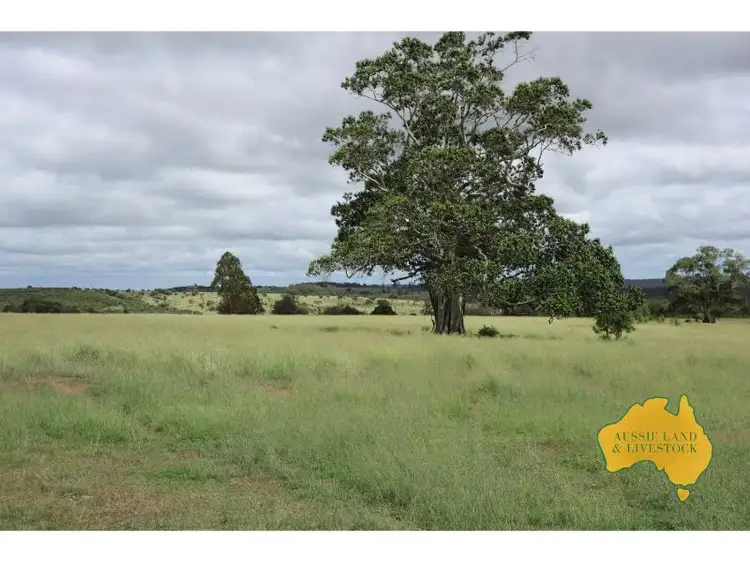 Main view of Homely rural property listing, 1377 Dangore Mountain Road, Dangore QLD 4610