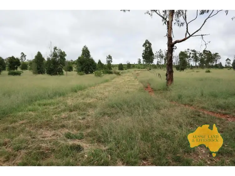Sixth view of Homely rural property listing, 1377 Dangore Mountain Road, Dangore QLD 4610