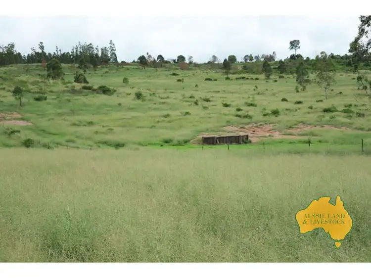 Seventh view of Homely rural property listing, 1377 Dangore Mountain Road, Dangore QLD 4610