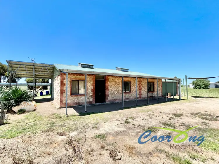 Main view of Homely rural property listing, 409 Bowhill Road, Burdett SA 5253