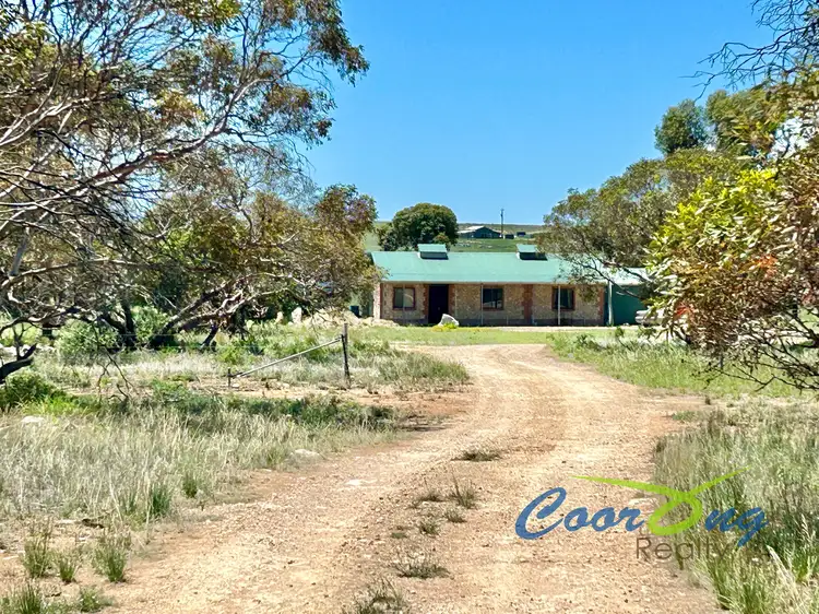 Second view of Homely rural property listing, 409 Bowhill Road, Burdett SA 5253