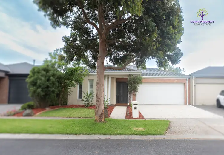 25 Surrey Grove