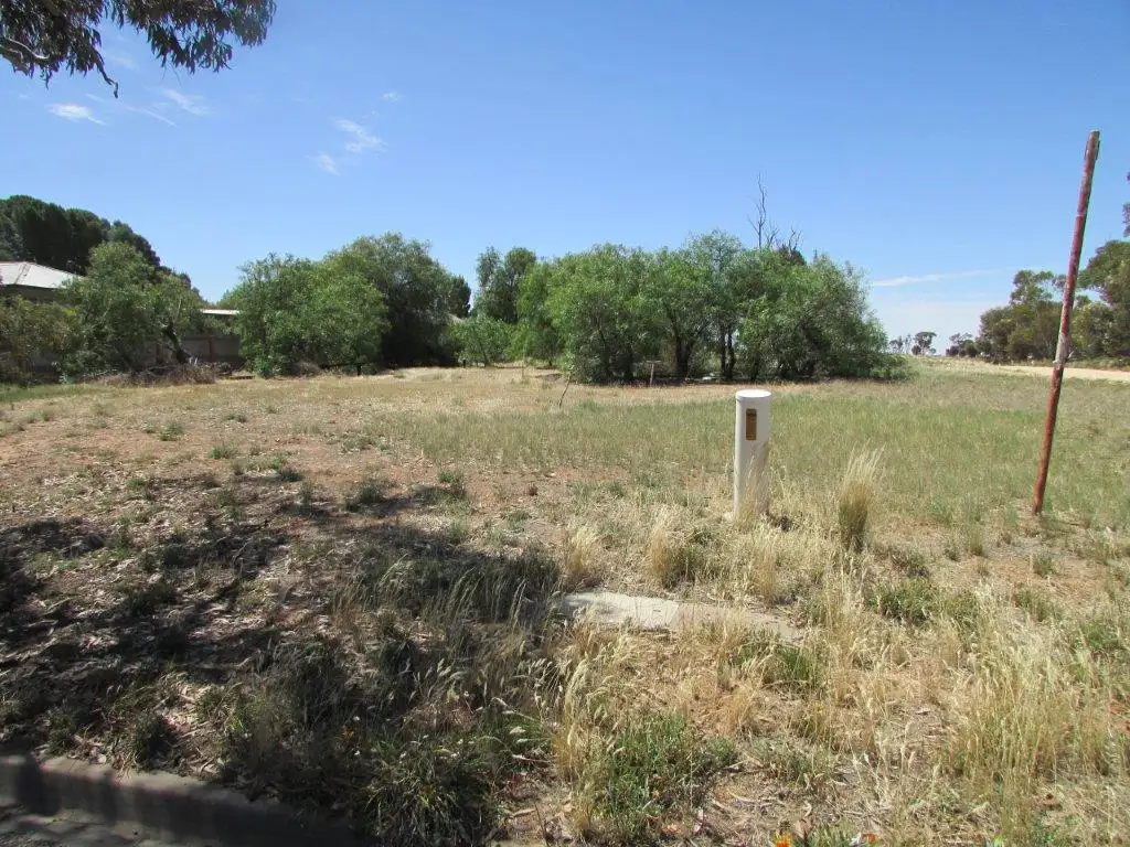 Main view of Homely land listing, 25 BROOK STREET, Woomelang VIC 3485