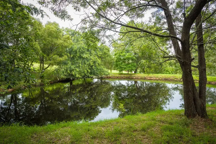 Sixth view of Homely rural property listing, 930 Snowy Mountains Highway, Numbugga NSW 2550