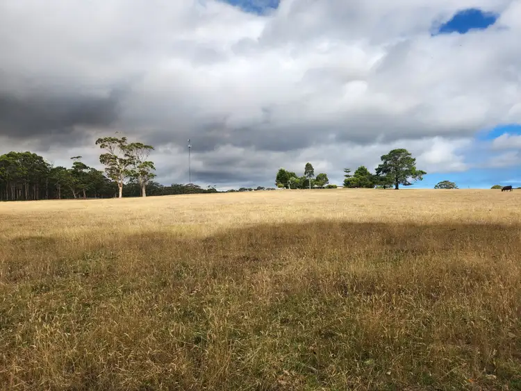 Third view of Homely rural property listing, 38491 South Western Highway, Broke WA 6398
