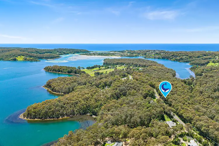 Fifth view of Homely rural property listing, 48 Woodlands Drive, Narooma NSW 2546