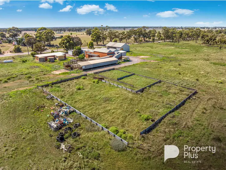 Fifth view of Homely rural property listing, 194 Dunolly-Inglewood Road, Inglewood VIC 3517