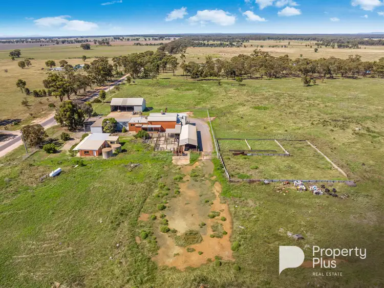 Sixth view of Homely rural property listing, 194 Dunolly-Inglewood Road, Inglewood VIC 3517