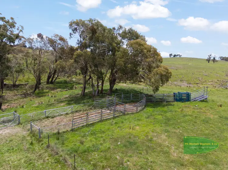 Fifth view of Homely rural property listing, 655 Range Road, Meadow Flat NSW 2795