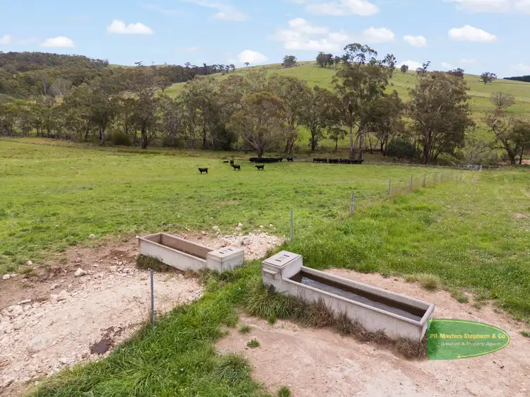 Seventh view of Homely rural property listing, 655 Range Road, Meadow Flat NSW 2795