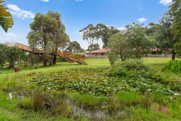 135 Barretts Road, Langwarrin South VIC 3911