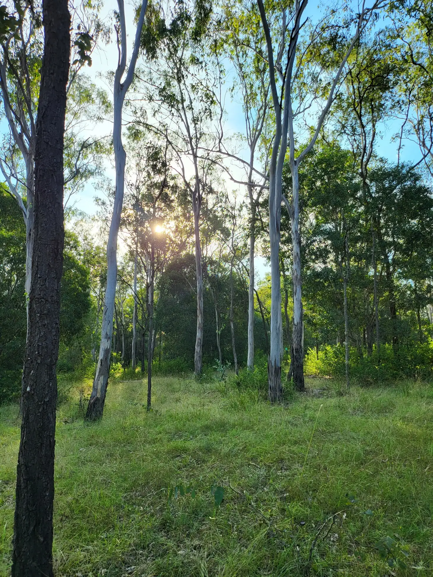 Main view of Homely rural property listing, 244 Old Esk North Road, South East Nanango QLD 4615