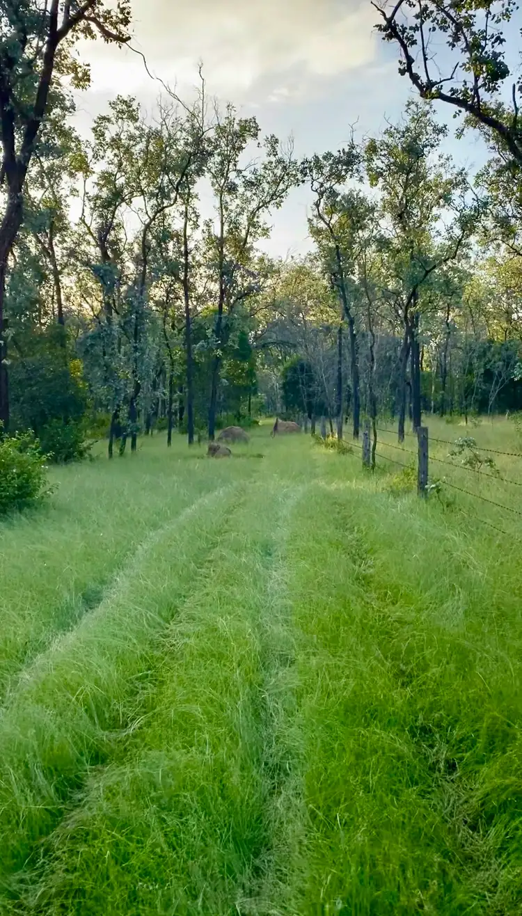 Second view of Homely rural property listing, 244 Old Esk North Road, South East Nanango QLD 4615