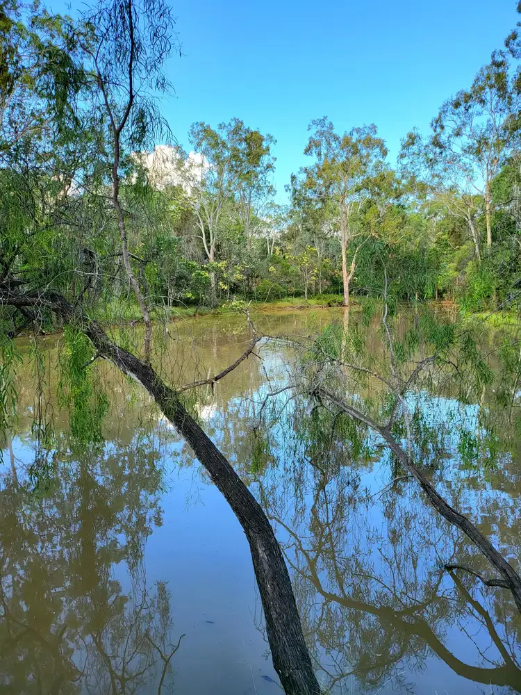Third view of Homely rural property listing, 244 Old Esk North Road, South East Nanango QLD 4615