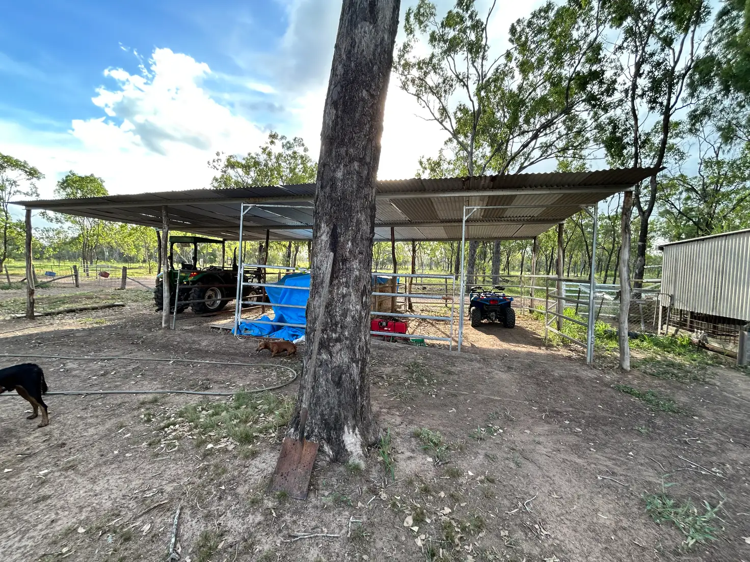 Main view of Homely land listing, 203 Calmorin Road, Ridgelands QLD 4702