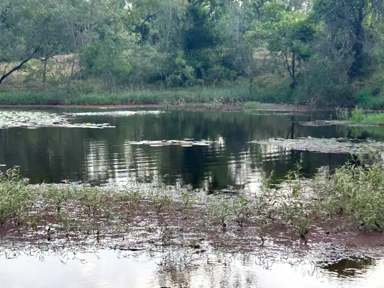 Second view of Homely land listing, 203 Calmorin Road, Ridgelands QLD 4702